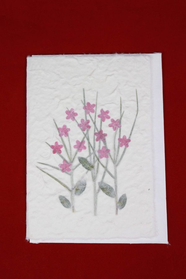 Sortiment Grusskarten aus Maulbeerbaumpapier